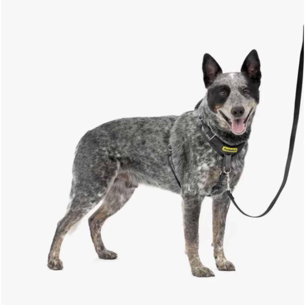 PetSafe Easy Walk Comfort Reflective No Pull Dog Harness Black M/L 24-34"